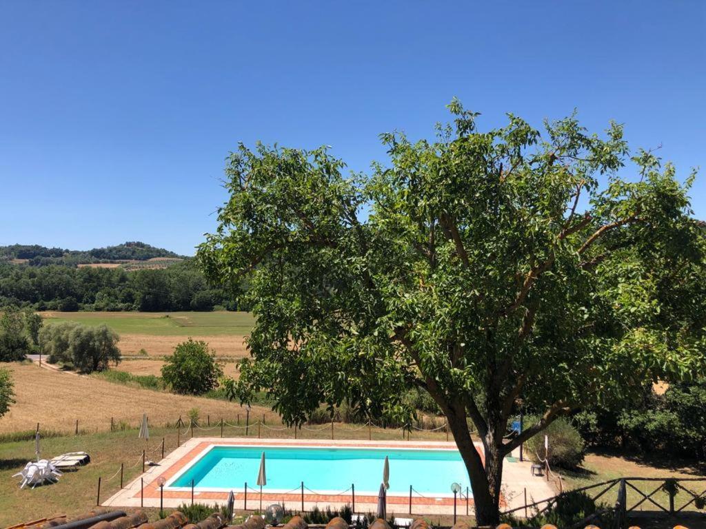 Agriturismo Podere Valdilucciole Città della Pieve Eksteriør billede